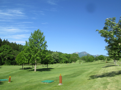 a0173819_825738.jpg