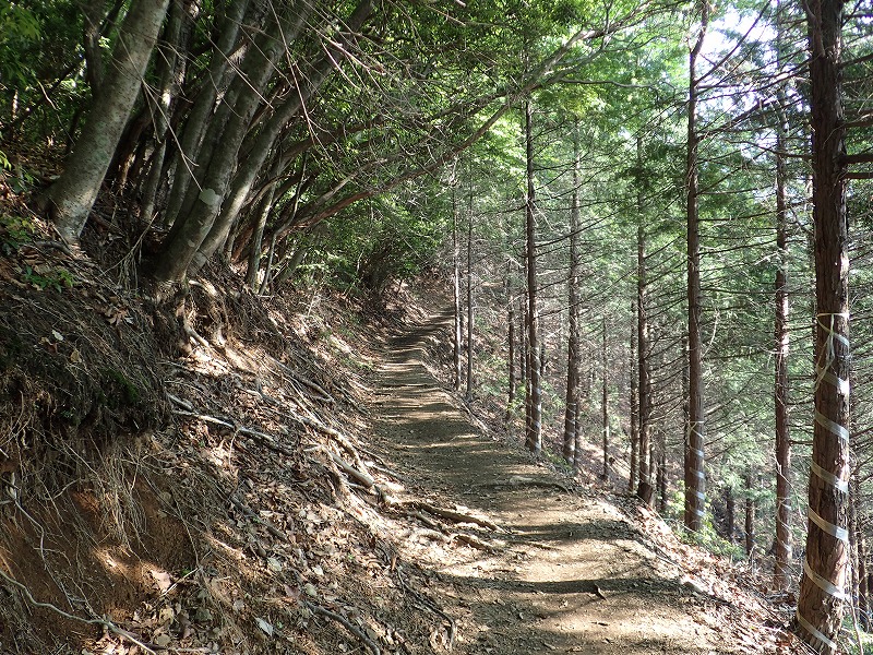 e0284726_62079.jpg