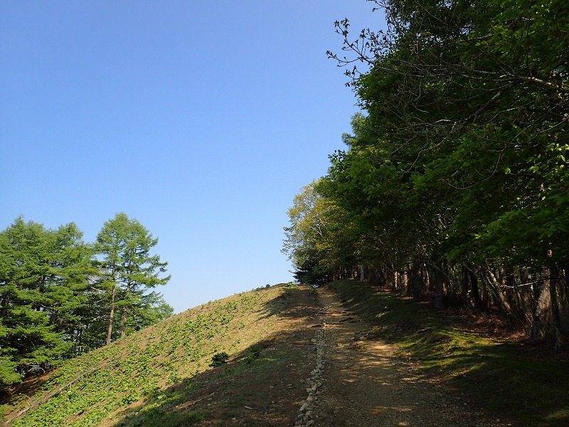 雲取山_e0284726_62584.jpg