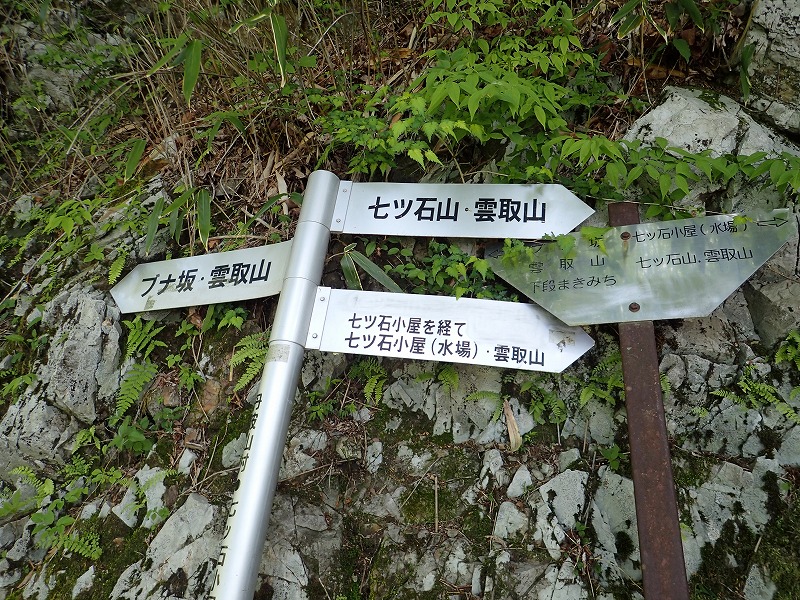 e0284726_62926.jpg