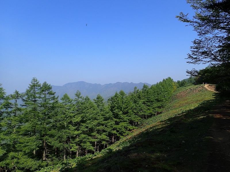 e0284726_63963.jpg