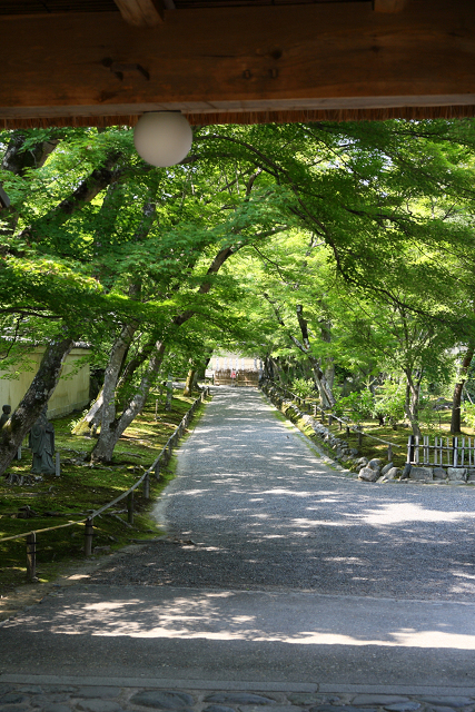 春の京都禅寺一斉拝観 －天龍寺・臨川寺　遠諱記念特別拝観（その4 宝厳院）ー_b0169330_235133.jpg