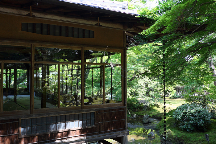 春の京都禅寺一斉拝観 －天龍寺・臨川寺　遠諱記念特別拝観（その4 宝厳院）ー_b0169330_2353377.jpg