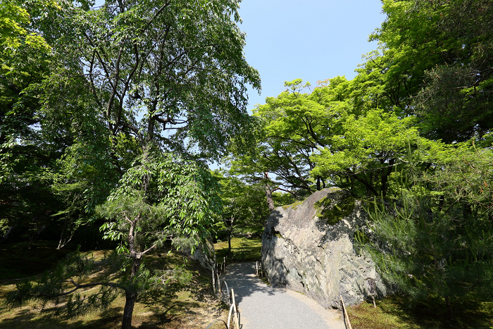 春の京都禅寺一斉拝観 －天龍寺・臨川寺　遠諱記念特別拝観（その4 宝厳院）ー_b0169330_2394191.jpg