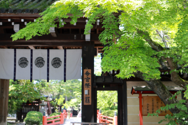 【今宮神社】京都旅行 - 5 -_f0348831_23373259.jpg