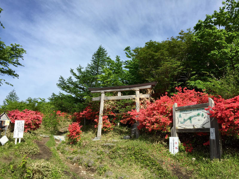 山が燃ゆる_c0225536_19561350.jpg