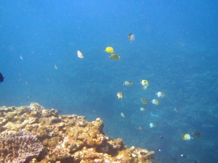 a0189838_17292422.jpg