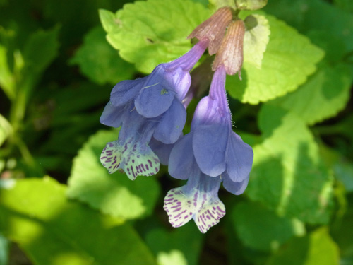 f0206939_10062.jpg