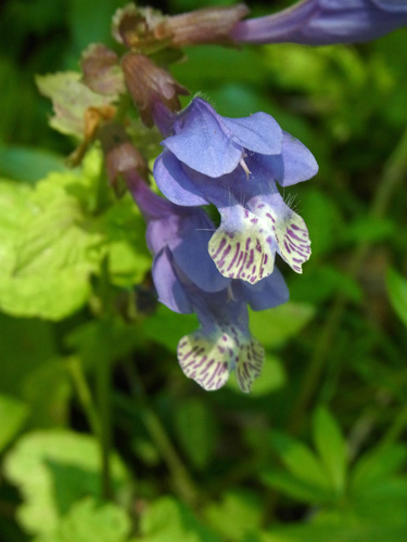 f0206939_12393.jpg