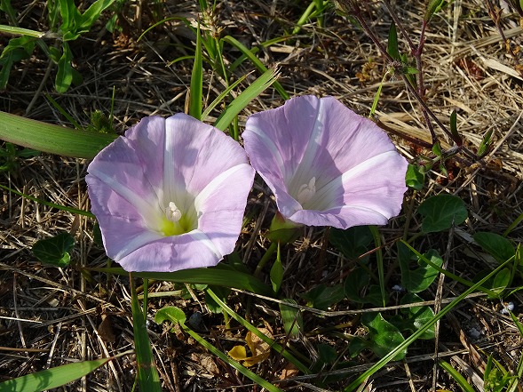 b0299042_68356.jpg