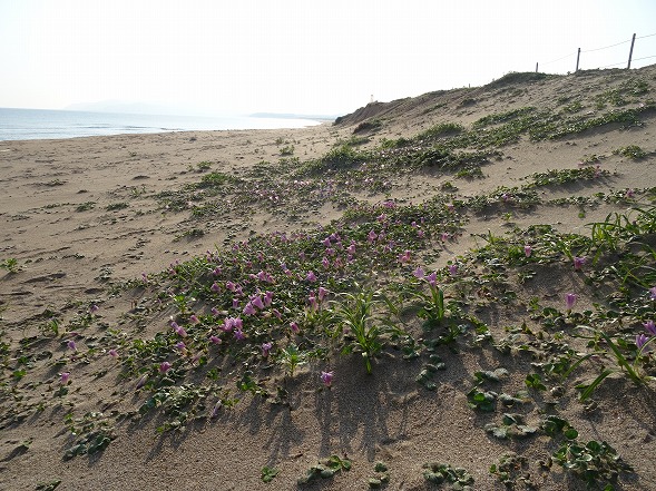b0299042_69218.jpg