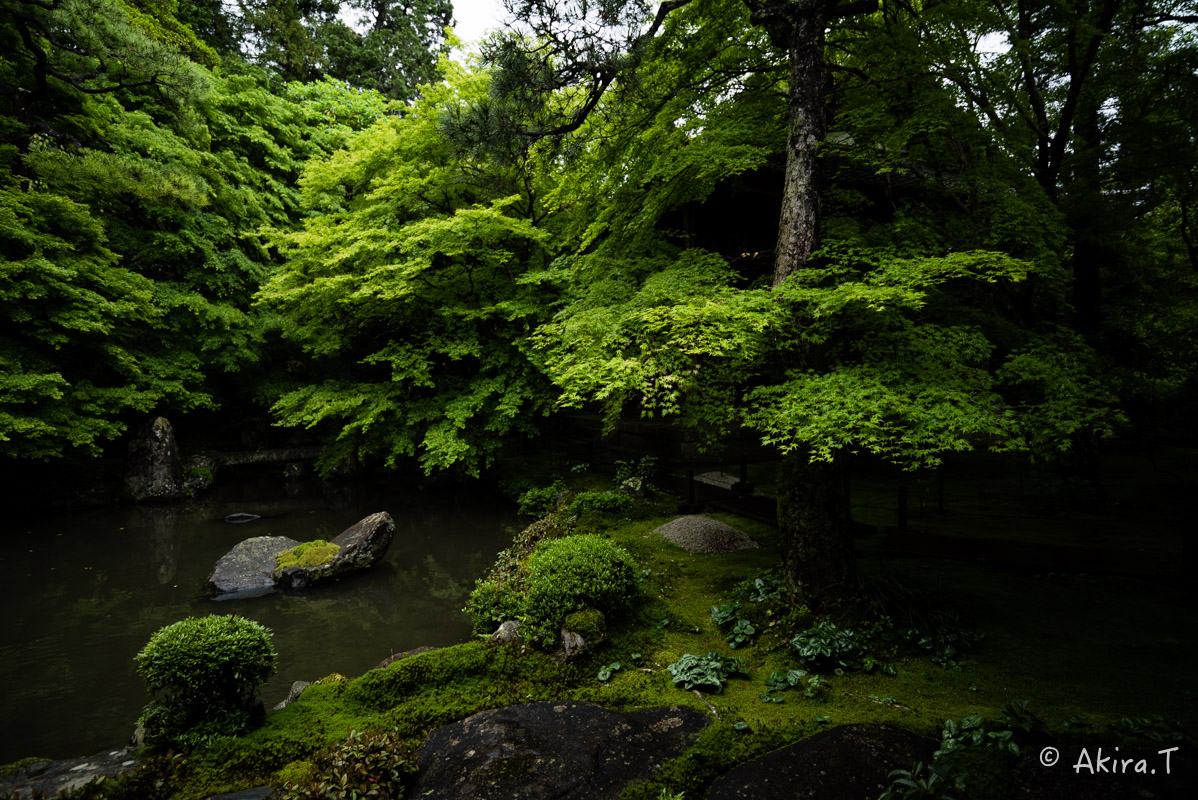 京都の新緑 2016　〜蓮華寺〜_f0152550_1910646.jpg