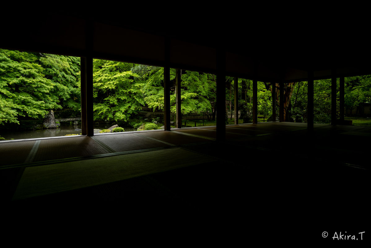 京都の新緑 2016　〜蓮華寺〜_f0152550_19111273.jpg