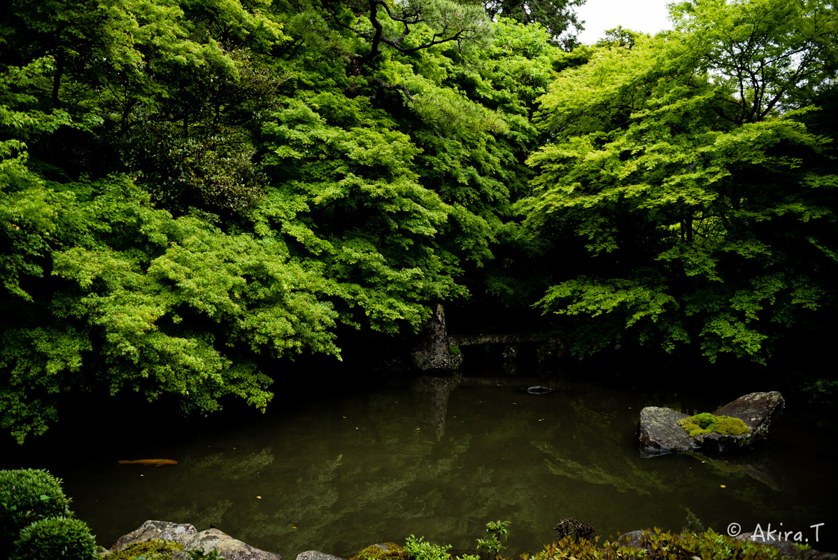 京都の新緑 2016　〜蓮華寺〜_f0152550_19115568.jpg