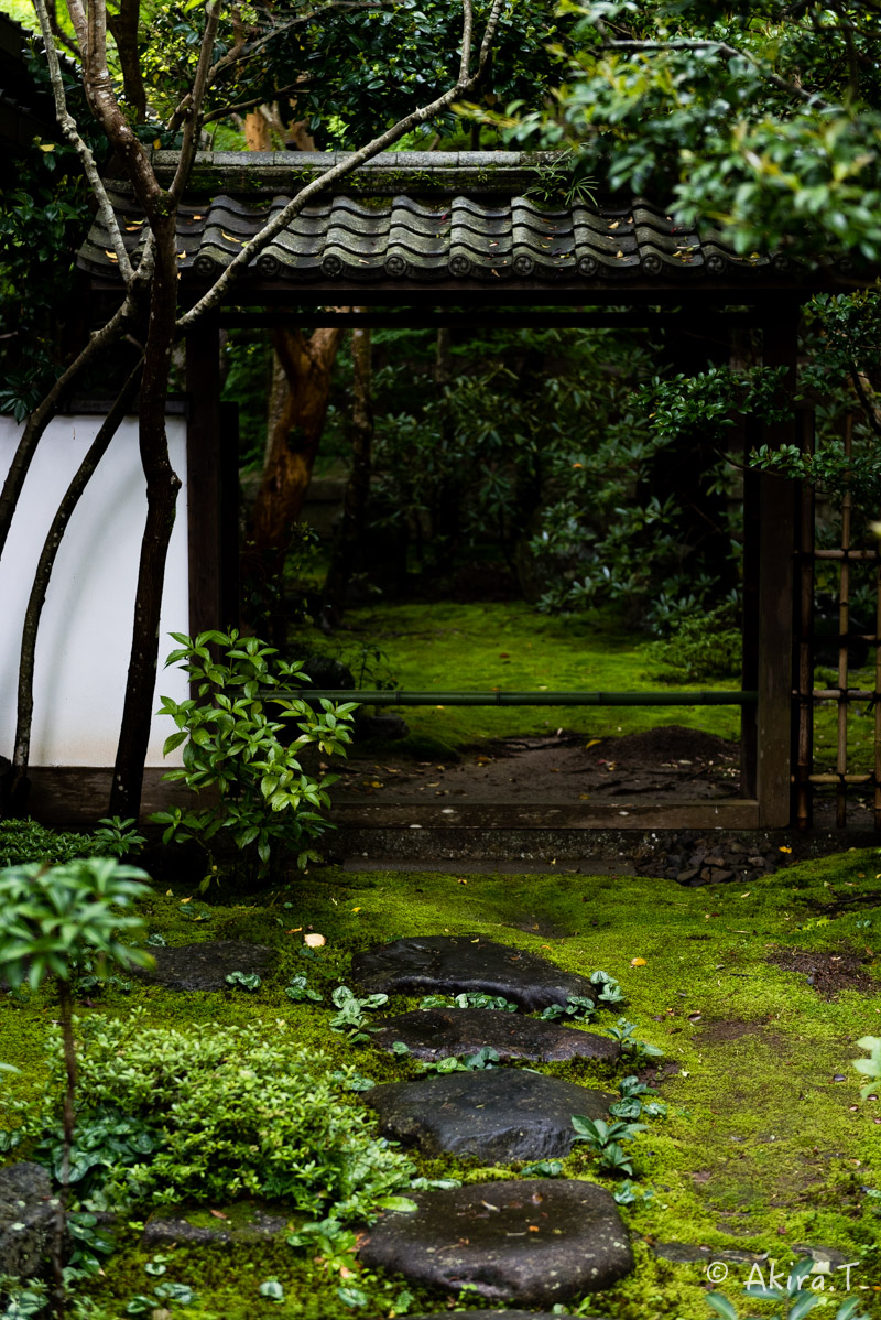 京都の新緑 2016　〜蓮華寺〜_f0152550_19134430.jpg