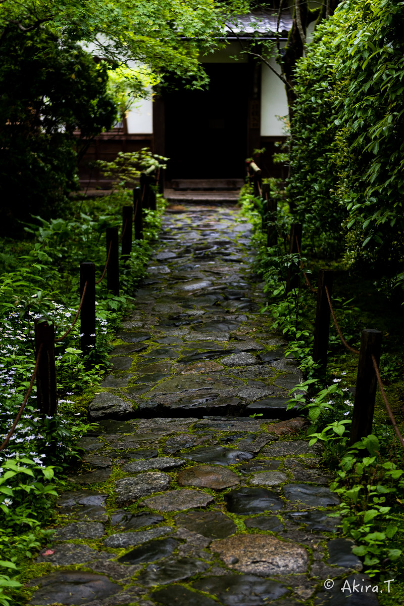 京都の新緑 2016　〜蓮華寺〜_f0152550_1914777.jpg