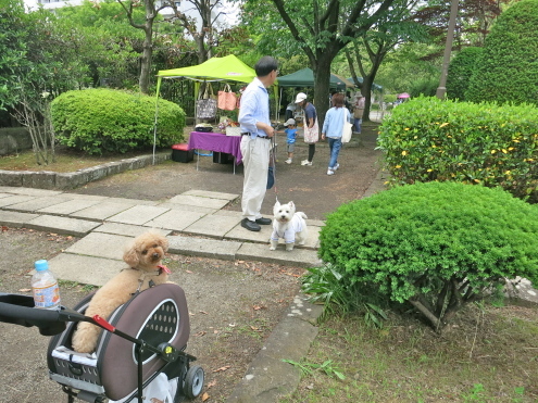新寺こみち市デビュー_c0260460_13460750.jpg