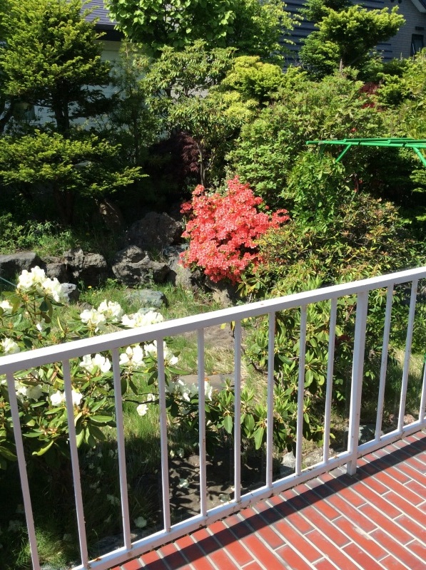 d0320463_09041910.jpg