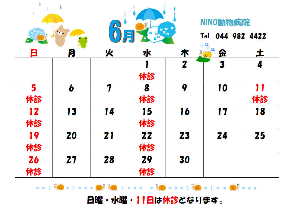 6月の診療日のお知らせ☆_e0288670_13482216.png