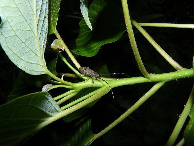 d0019074_10161739.jpg