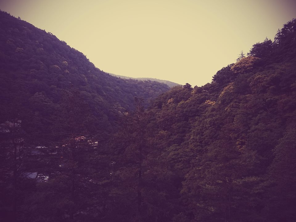 箱根4な件。。。_b0210688_19423437.jpg