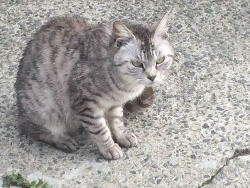 撮影_a0129492_04022839.jpeg