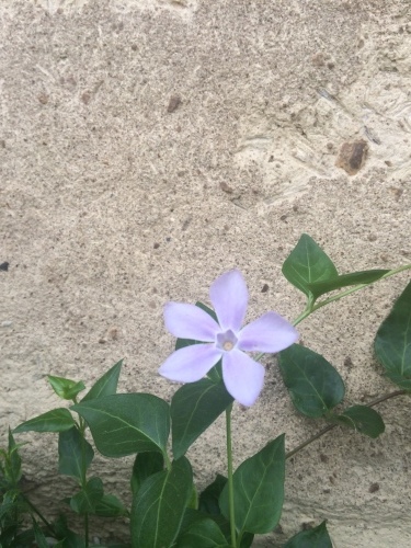 撮影_a0129492_04041201.jpeg