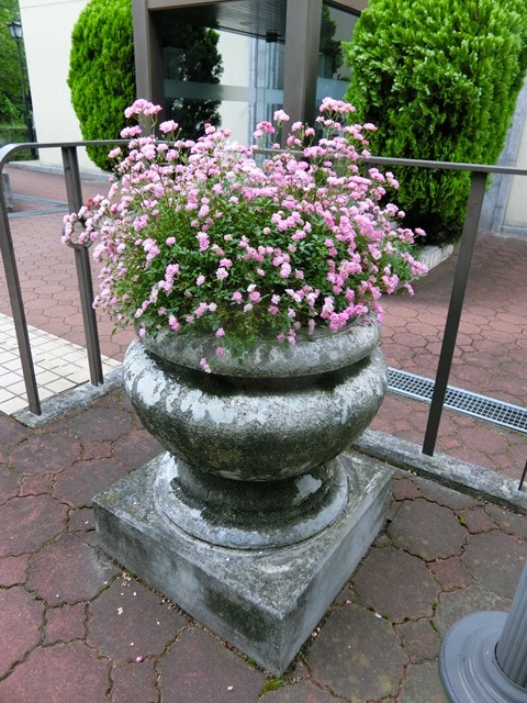 d0181492_14234498.jpg