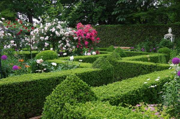 イギリス式庭園　～　アンディ＆ウィリアムズ　ボタニックガーデン　Ⅰ_b0356401_22373668.jpg