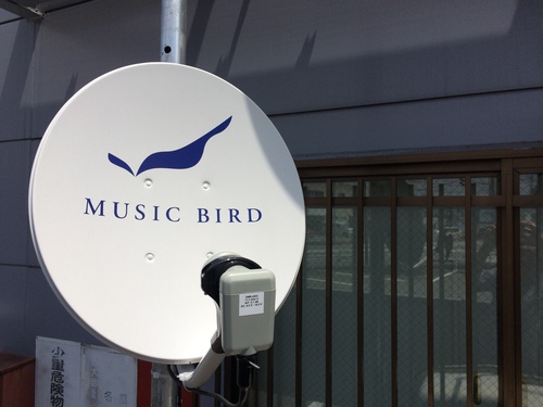 ☆空から届くミュージック MUSIC BIRD☆_c0113001_1225282.jpg