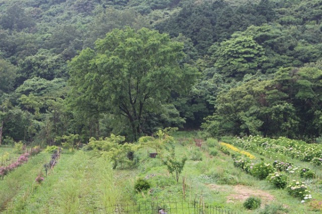 c0178009_23464535.jpg
