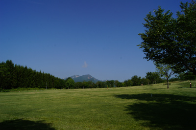 a0173819_927051.jpg