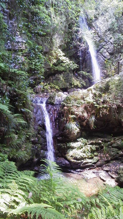 e0348420_20005462.jpg
