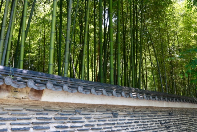 【今宮神社】京都旅行 - 5 -_f0348831_00051563.jpg