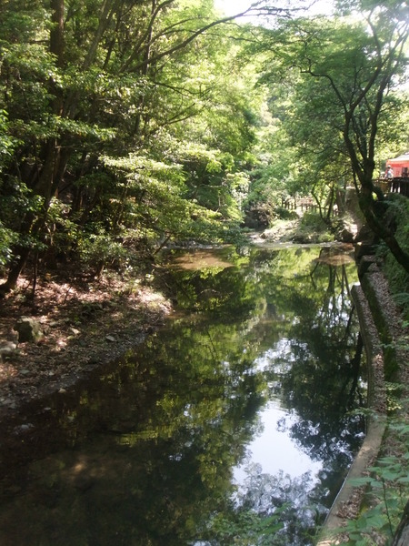 d0024438_9241784.jpg