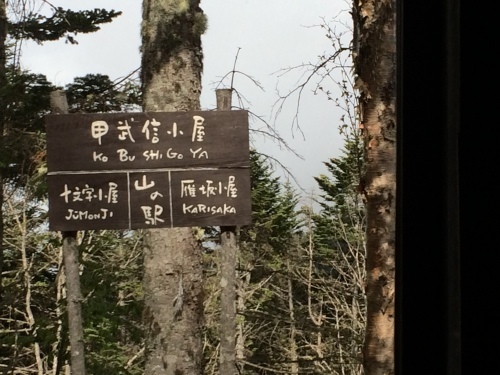 5月29日の日記_c0369344_18180670.jpeg