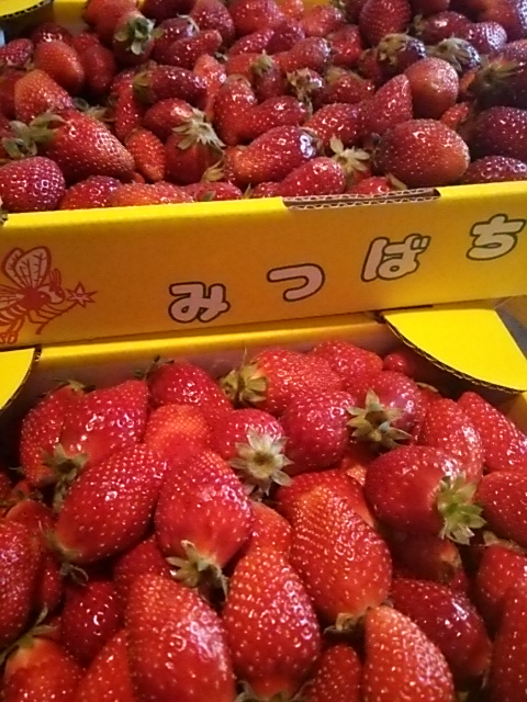 d0274745_1434249.jpg