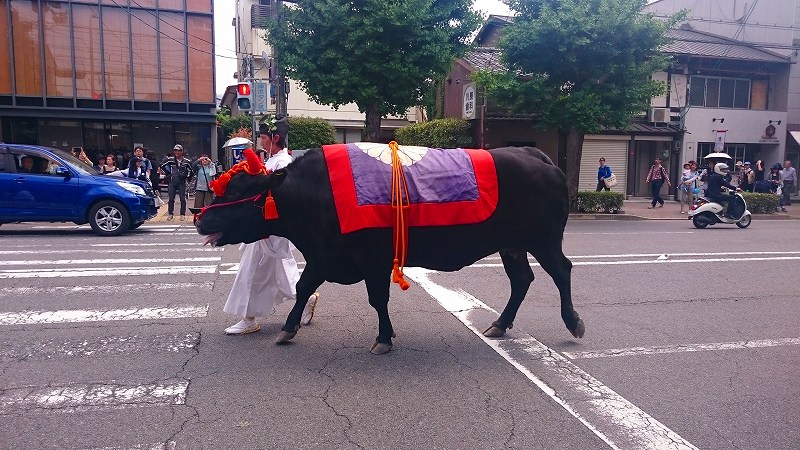 京都三大祭の一つ「葵祭」20160515_e0237645_231797.jpg