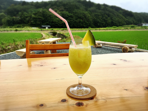 MELON HOUSE かわぐち_e0292546_11361130.jpg
