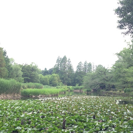 a0167750_20484714.jpeg