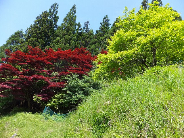 伝説の藤原千方遺跡巡りと床並川リバートレッキング！！！_d0048350_12504494.jpg