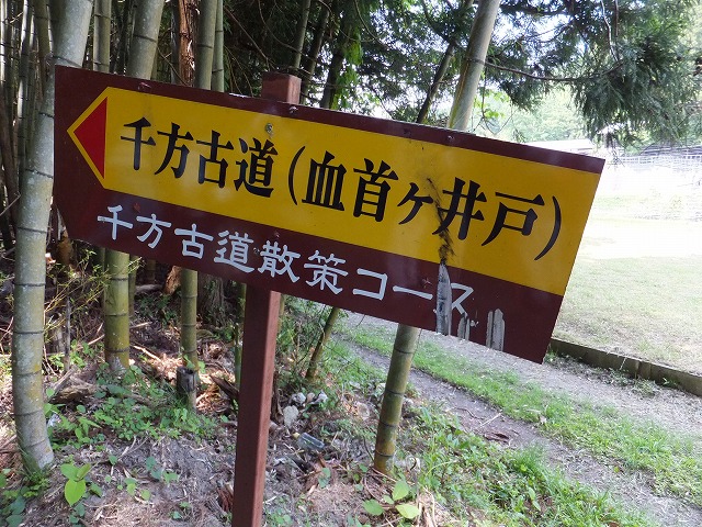 d0048350_12515478.jpg