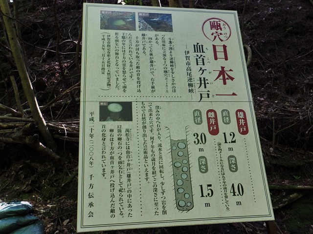 d0048350_12525567.jpg