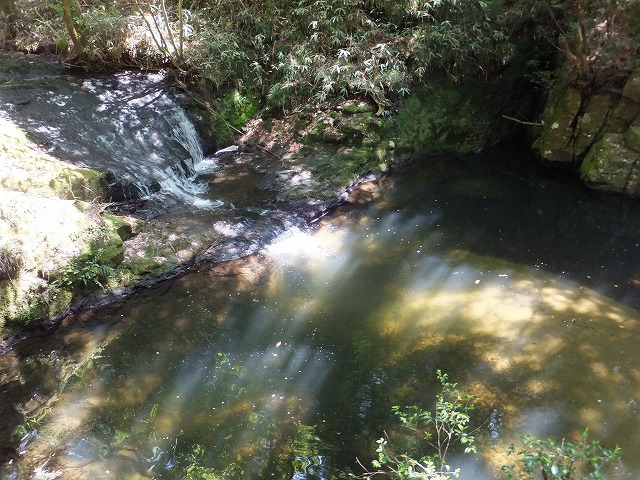 d0048350_1252640.jpg