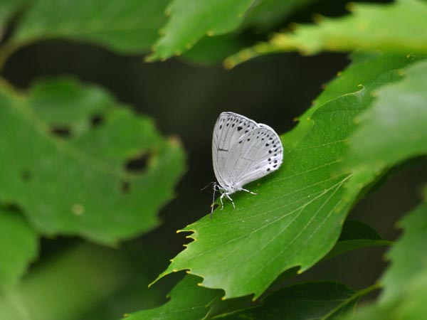 c0045352_20155052.jpg