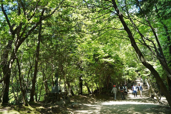 新緑に包まれる書写山圓教寺(1)仁王門_b0063958_8582021.jpg