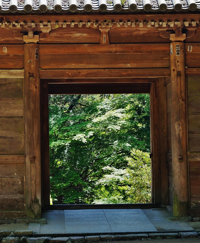 新緑に包まれる書写山圓教寺(1)仁王門_b0063958_913939.jpg