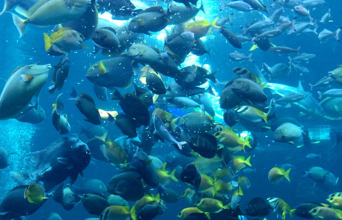 e0256058_20112870.jpg