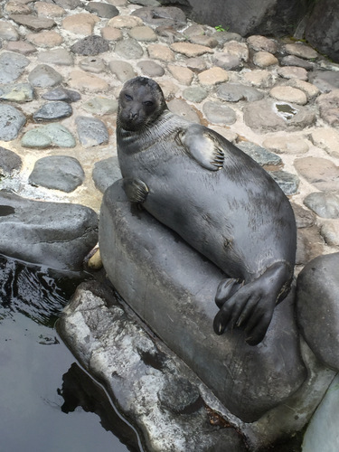 e0256058_20113227.jpg
