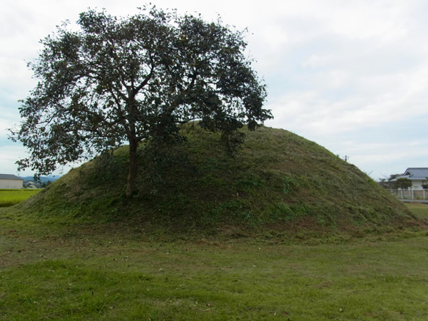 f0203061_19145619.jpg